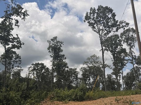 Land, Mentone, AL