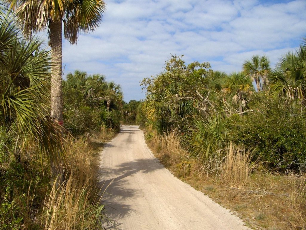 Picture 11