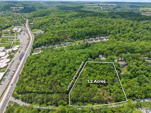 Semi-Wooded Lot in House Springs