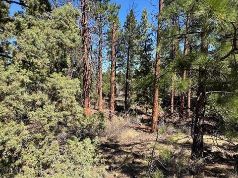 Land, Weed, CA
