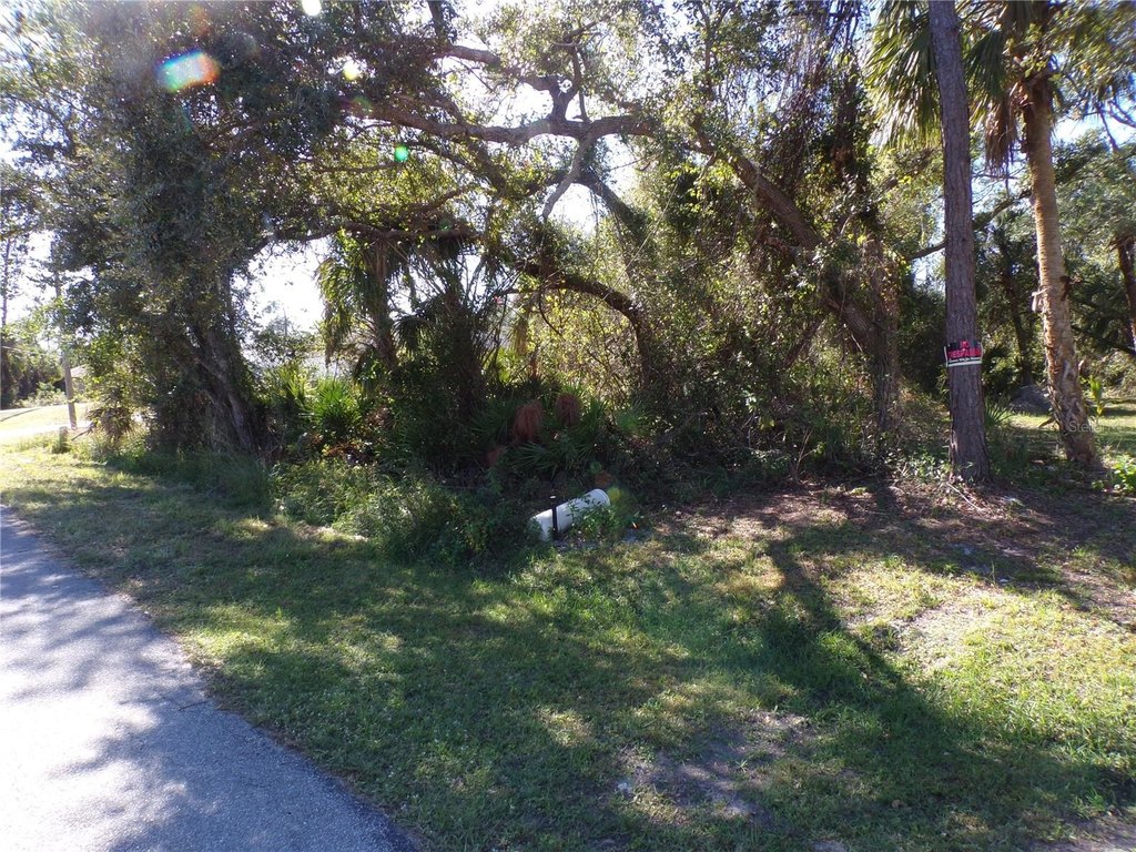 Picture 6