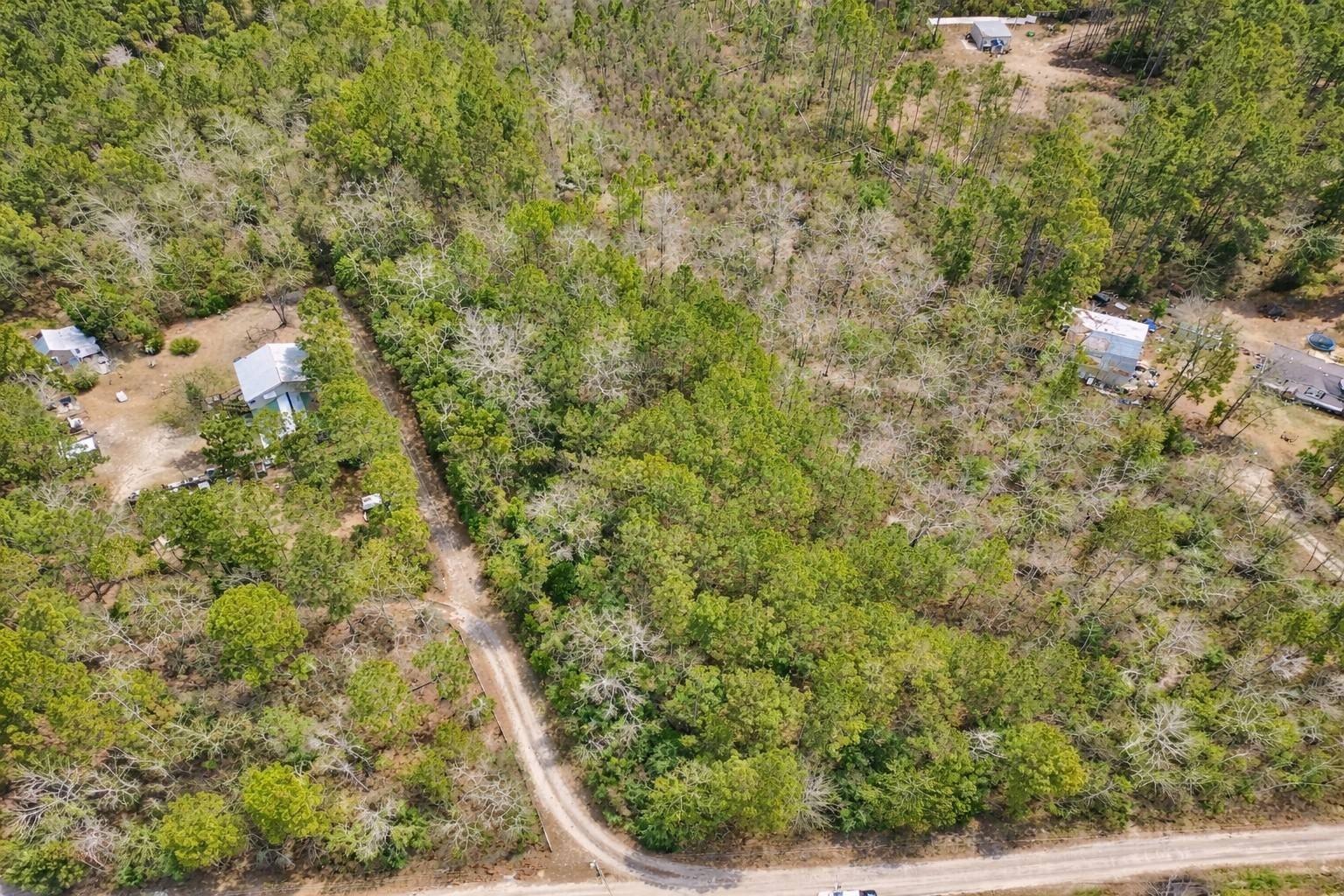 Aiken County Wooded Lot
