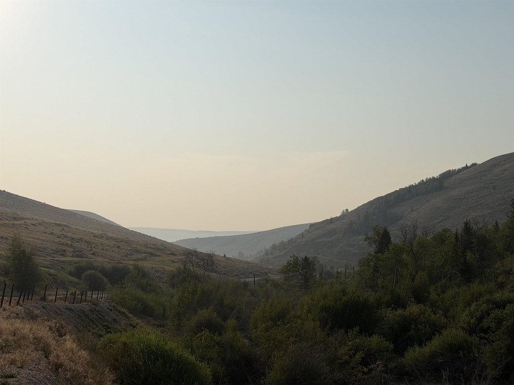 Picture 7