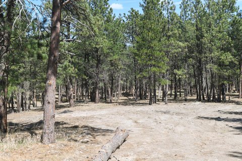 Residential Lot Near Belle Fourche