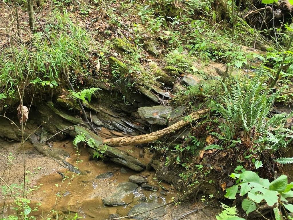 Picture 17