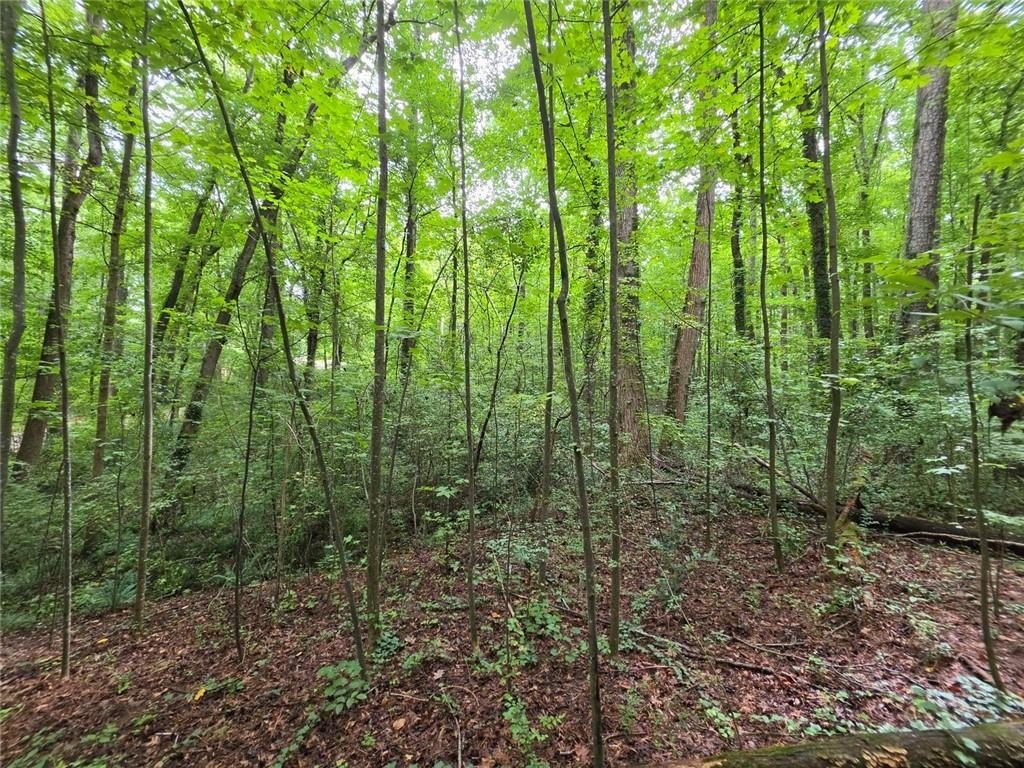 Picture 19