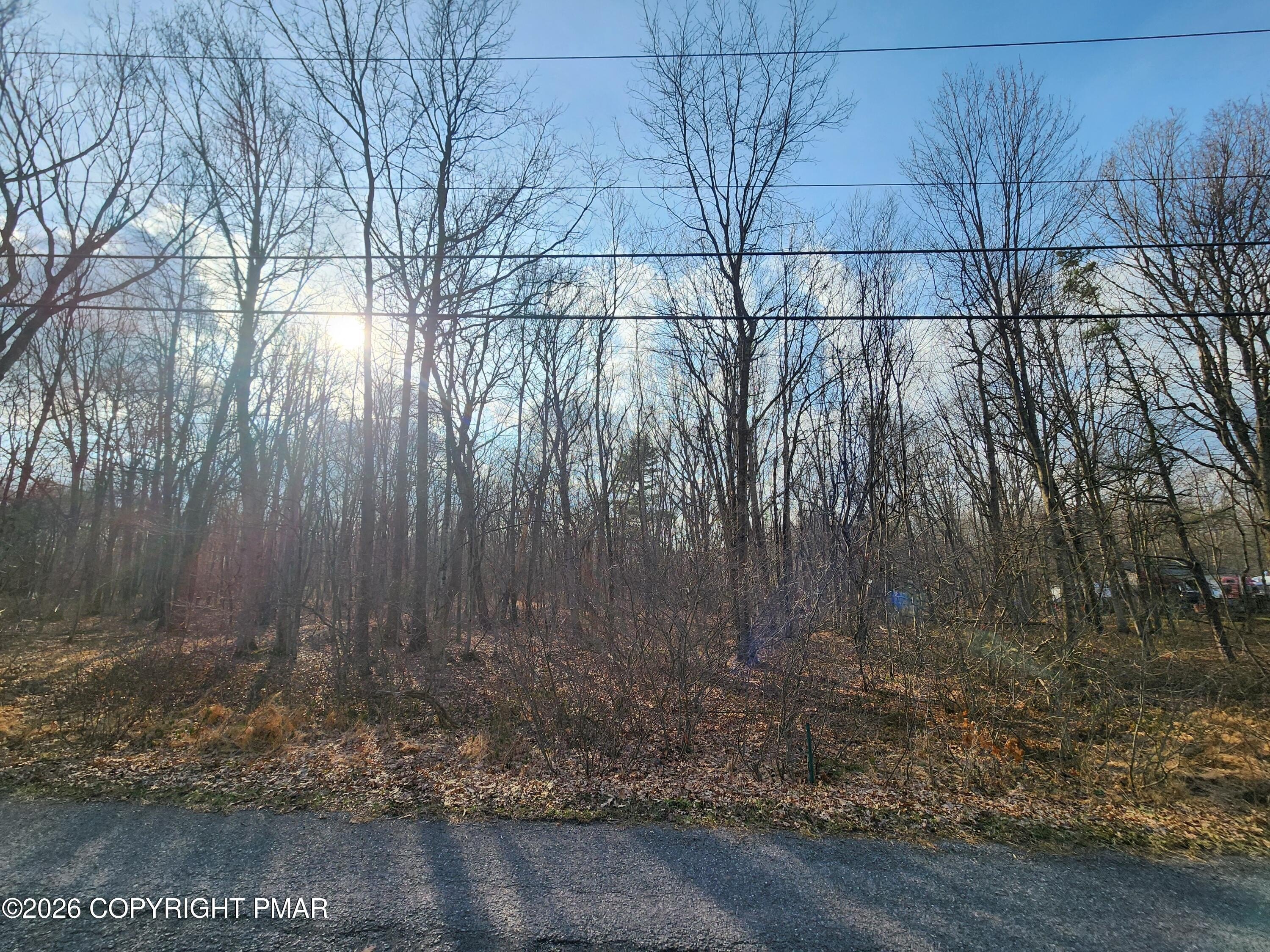 Wooded Lot in Penn Forest