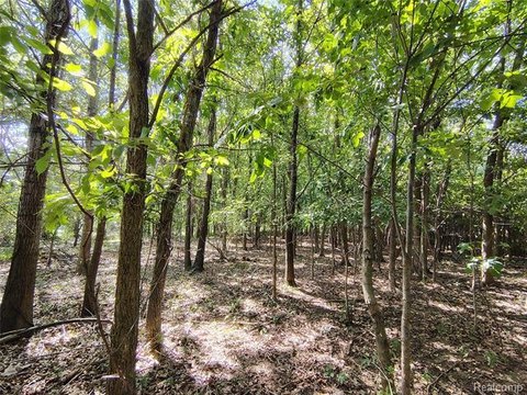 Vacant Land, Hadley Twp, MI