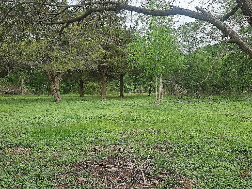 Picture 2