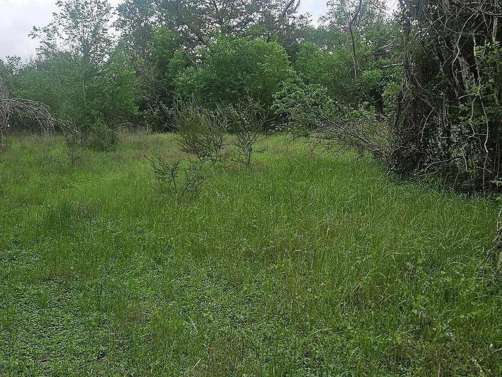 Picture 4