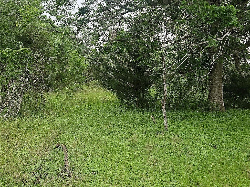 Picture 5