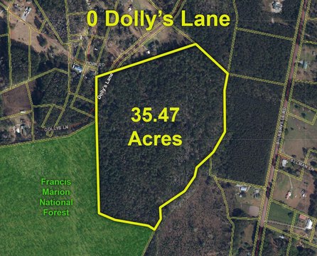 Expansive Land in Shulerville, SC