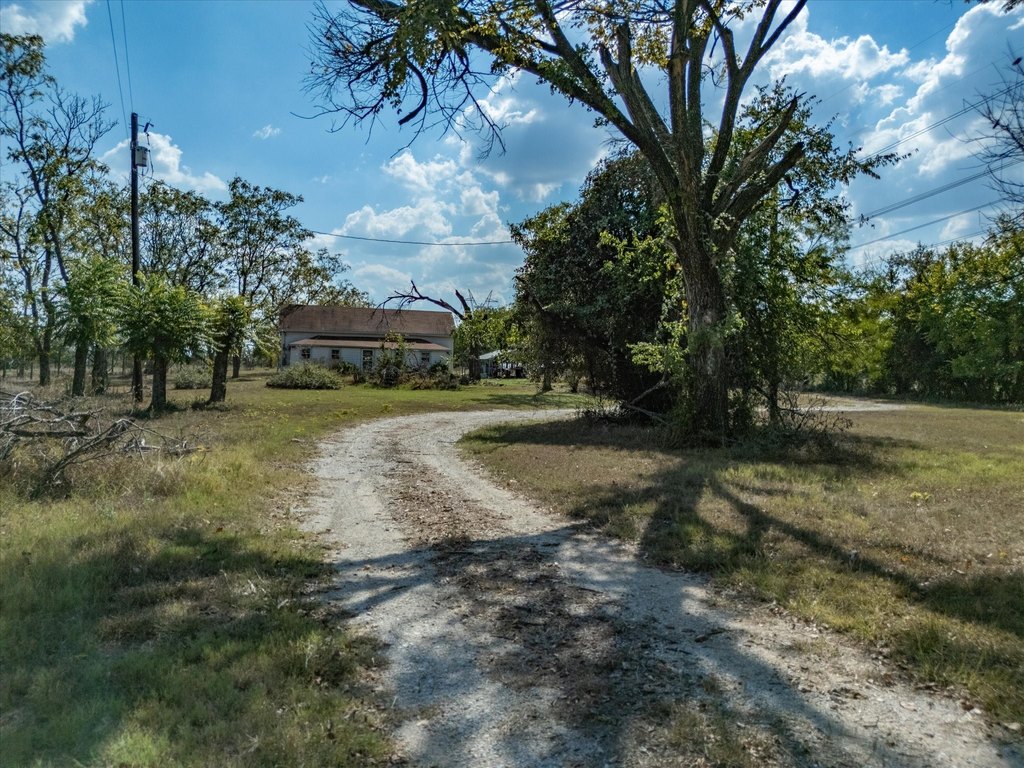 Picture 20