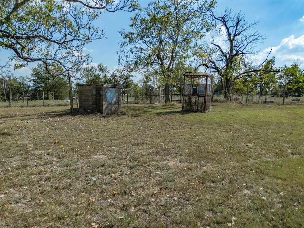 Picture 25