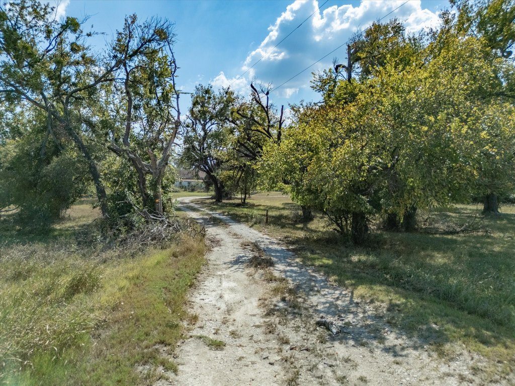Picture 19