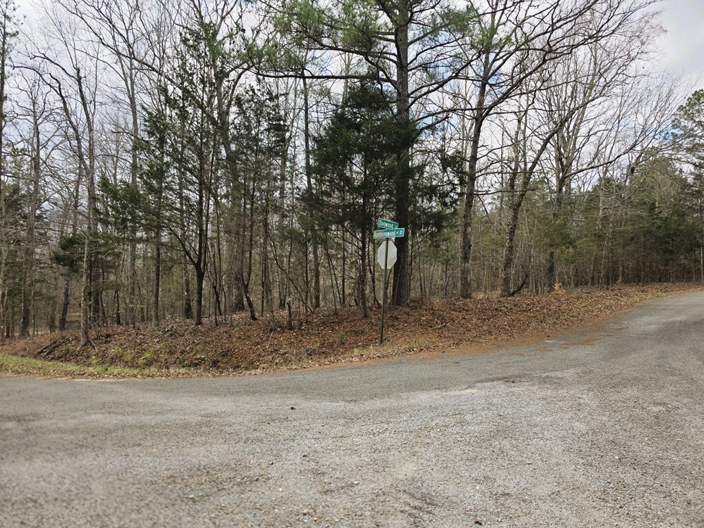Picture 2