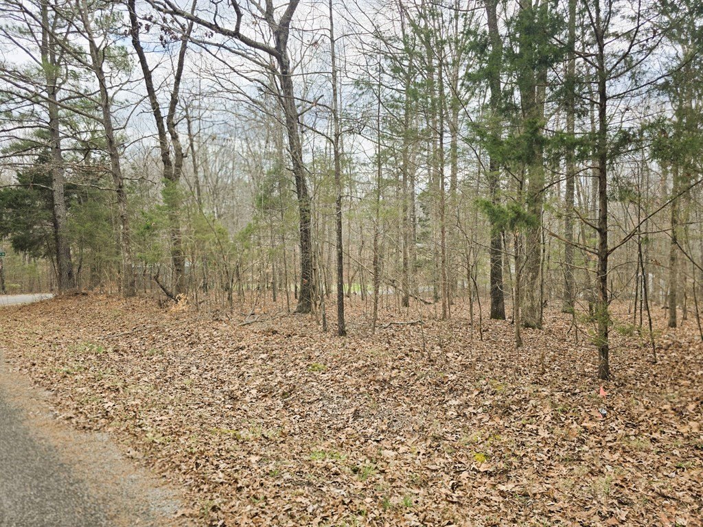 Picture 6