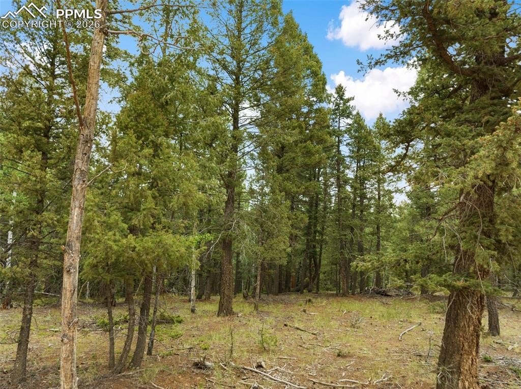 Buildable Lot in Spring Valley