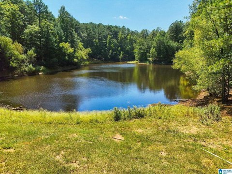 LAND/LOTS, CALERA, AL