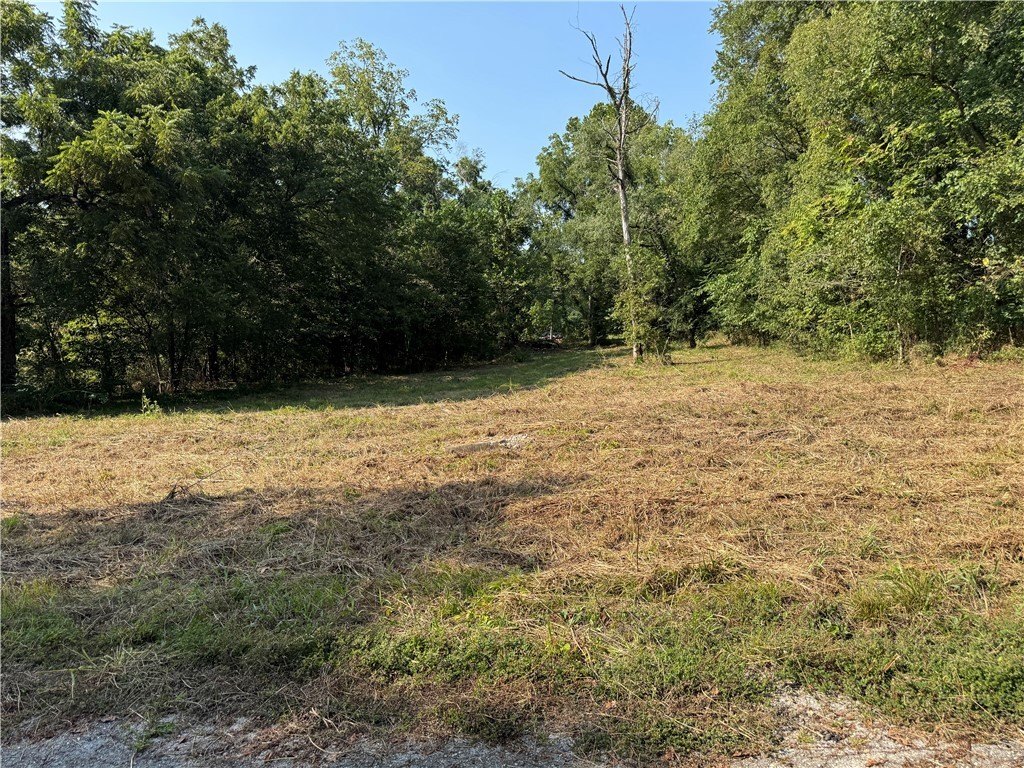 Sulphur Springs Land Opportunity