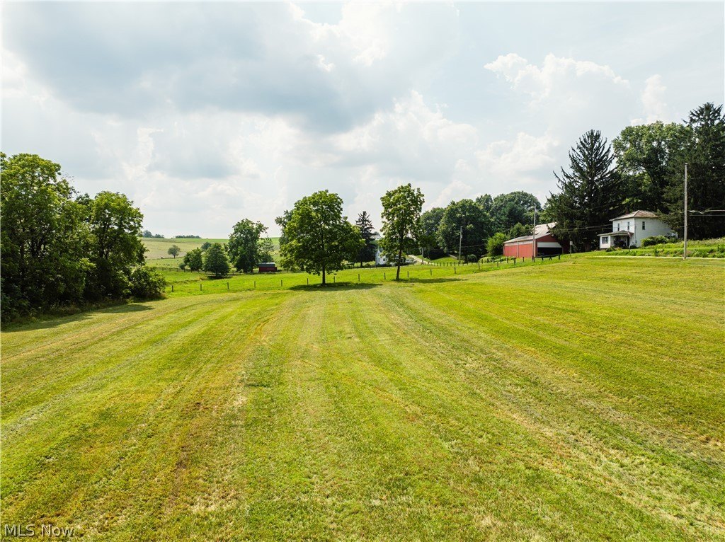 Picture 15
