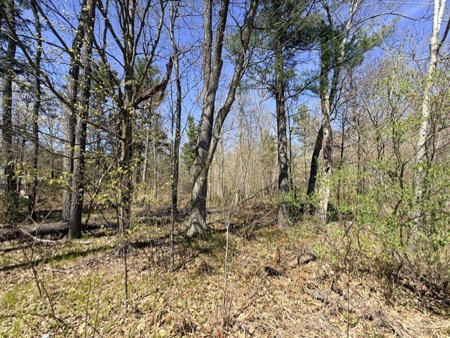 Wooded Land Near Round Lake