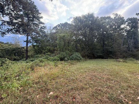 Land, Bridgeport, AL