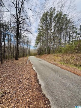Chelsea Acreage in City Limits