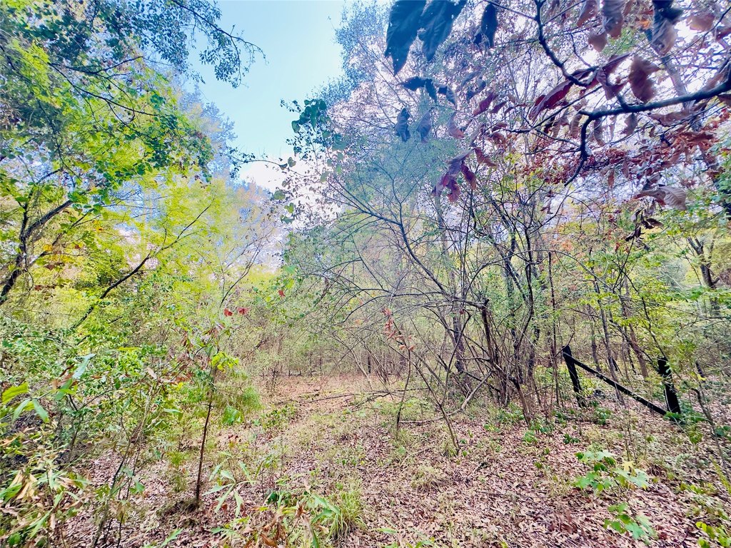 Picture 18