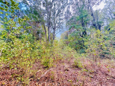 Land, Gilmer, TX