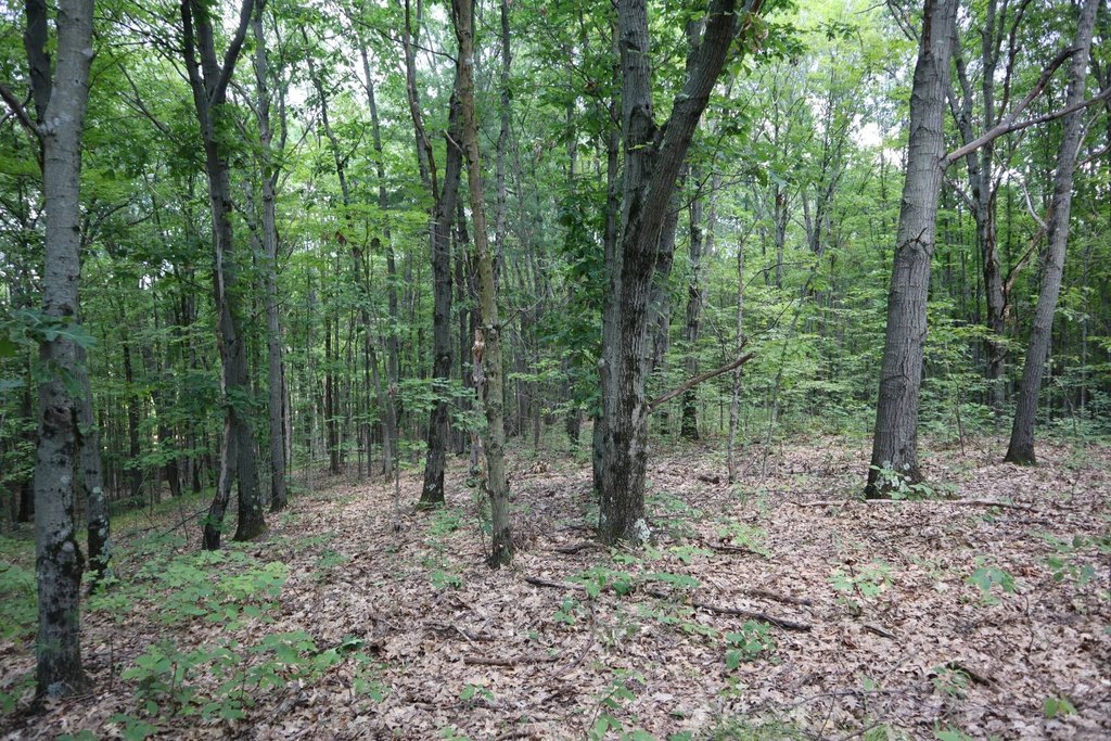 Picture 19