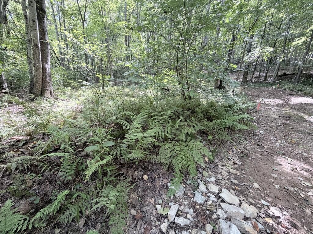 Picture 12
