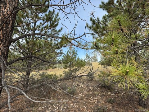 Land, Hartsel, CO