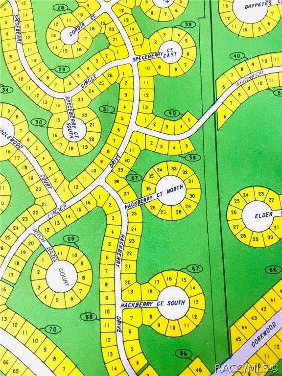Homesite in Sugarmill Woods