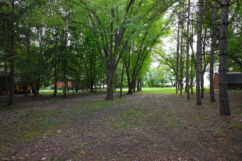 Picture 3