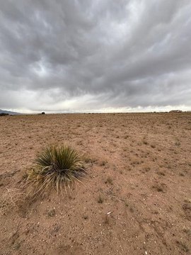 LAND - Veguita, NM