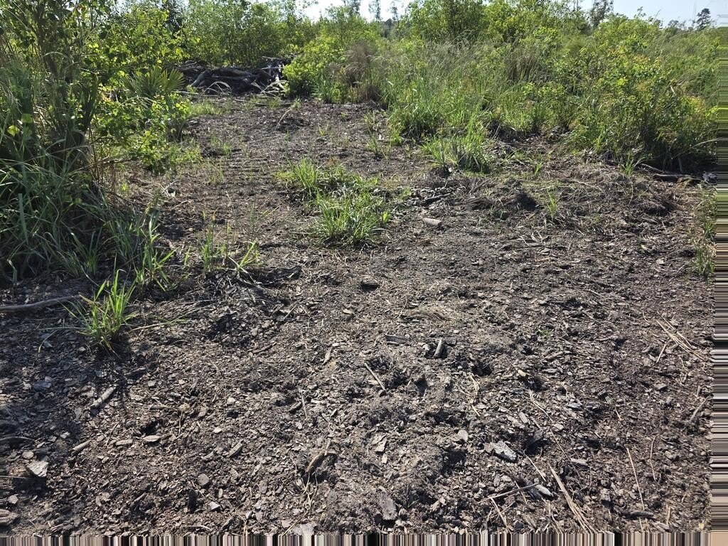Picture 12