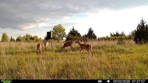 Hunting and Agricultural Land Tract