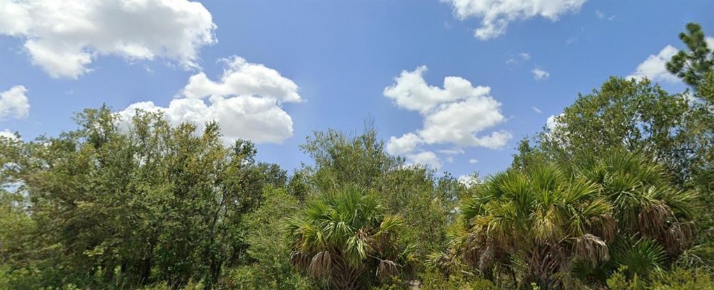 Picture 8