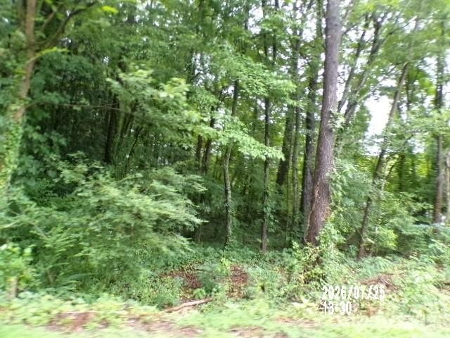 Picture 17