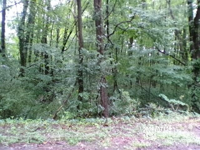 Picture 16