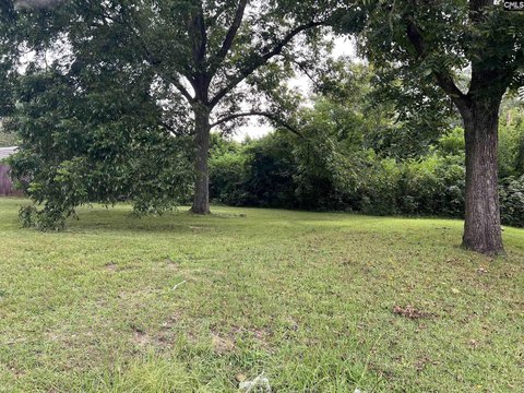 LOTS AND ACREAGE, Newberry, SC