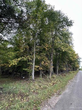 VACANT LAND, Iron River, MI