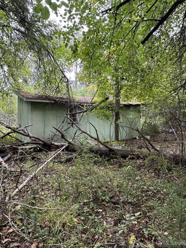 VACANT LAND, Iron River, MI