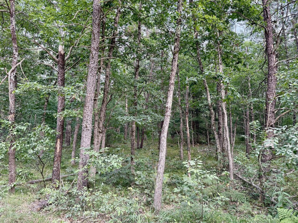 Picture 3