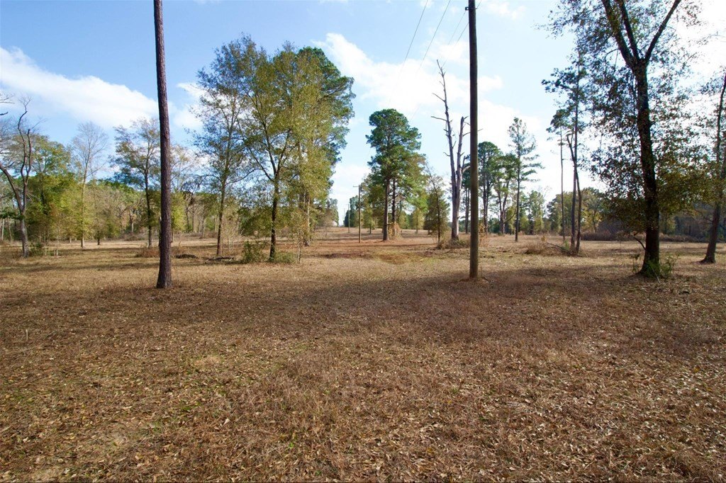 Picture 21