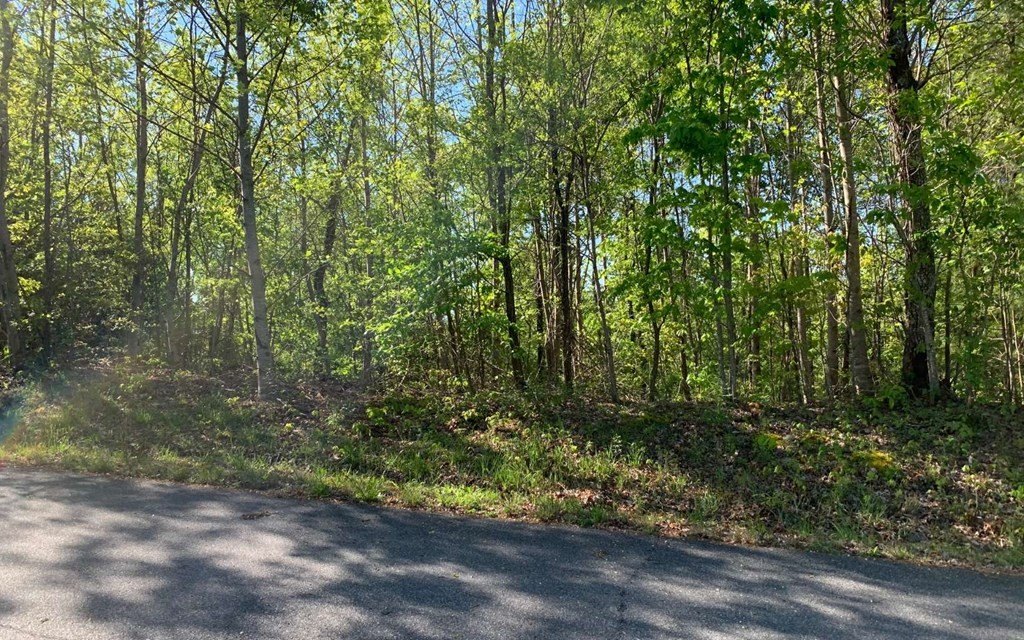 Picture 18