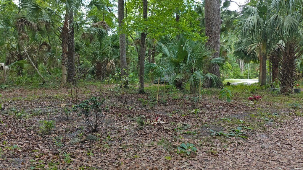 Picture 4
