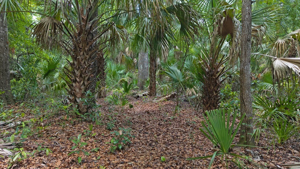 Picture 6