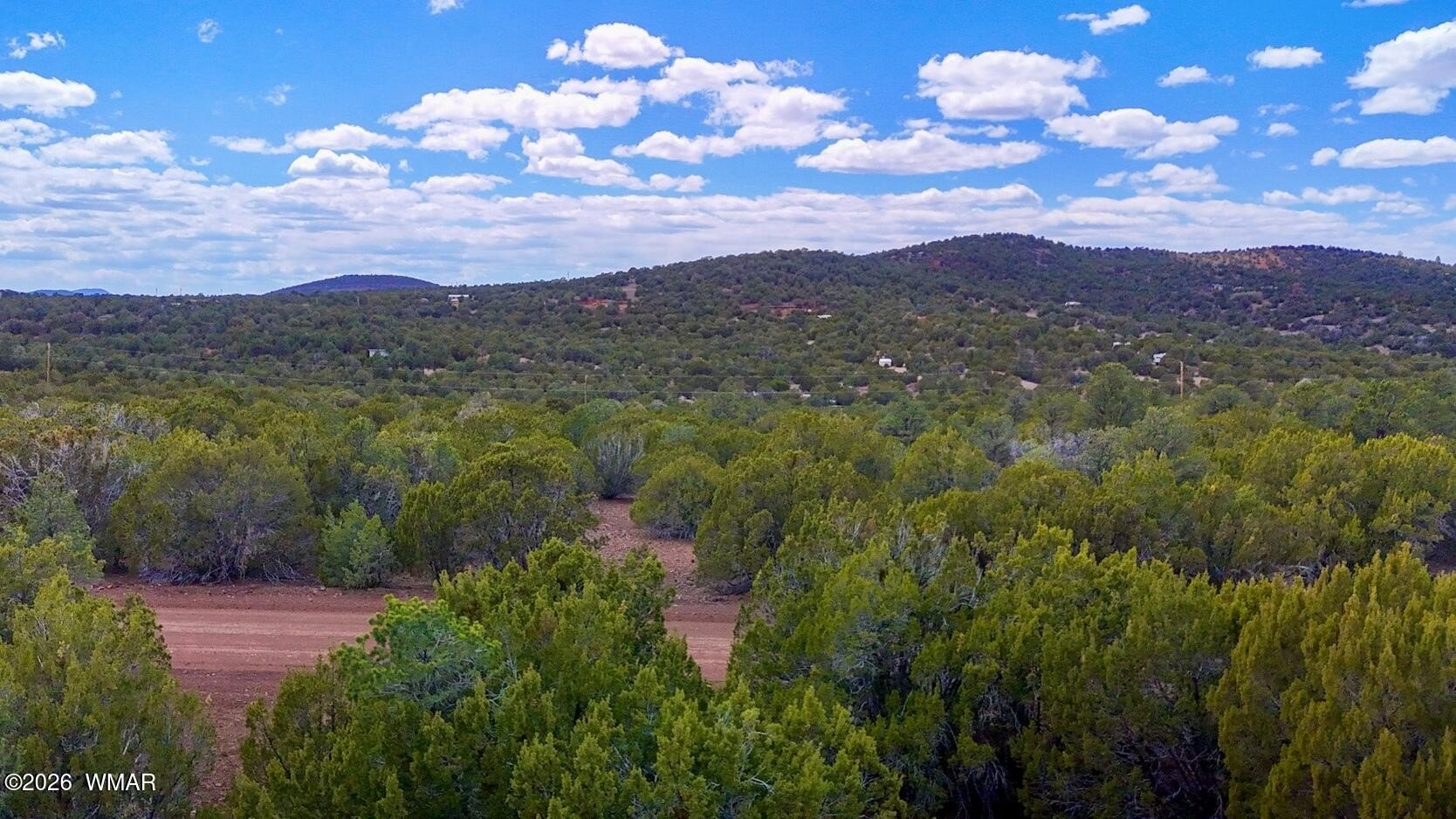 Vernon, AZ Treed Land